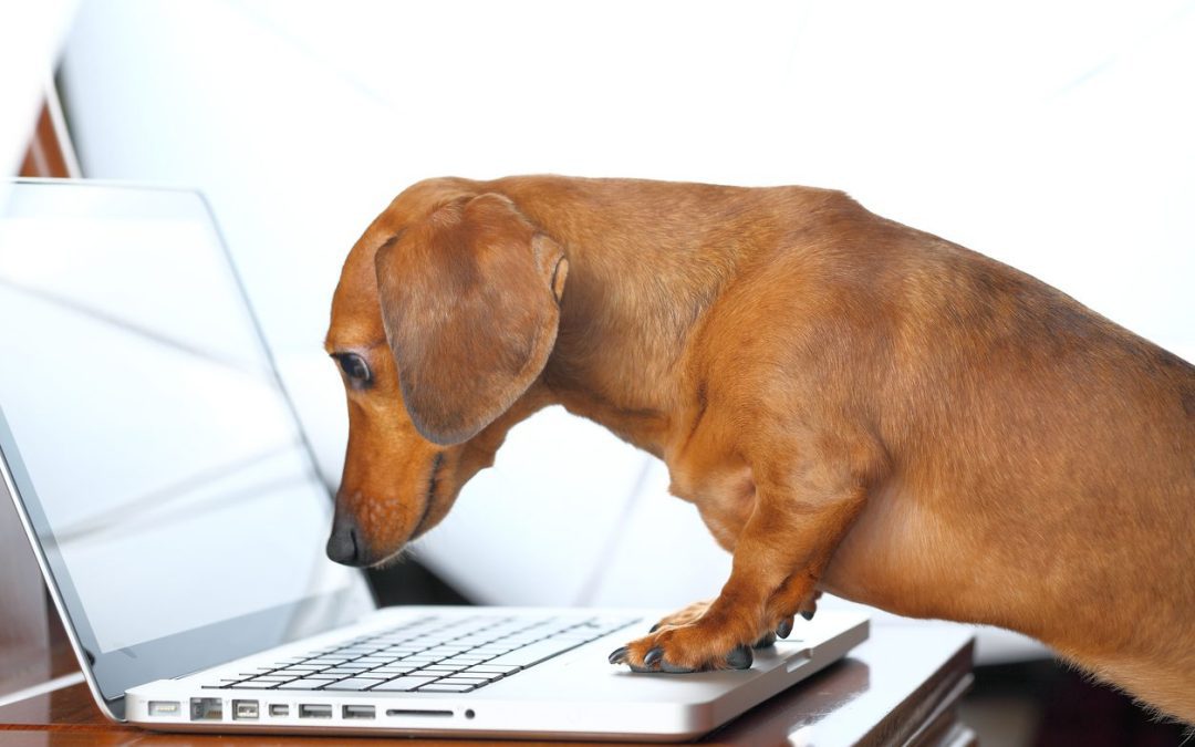 How to Get Your Ass Kicked on Facebook